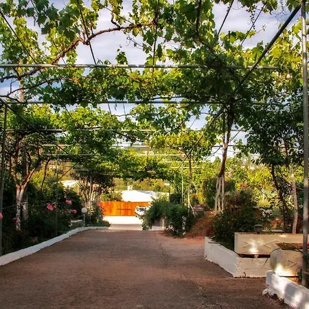 Athineos 科梅诺