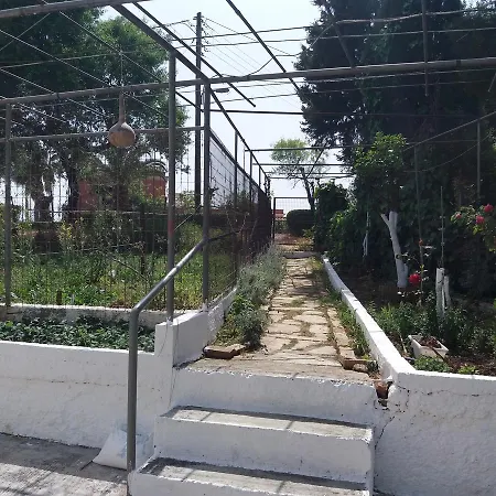 Athineos Daire *